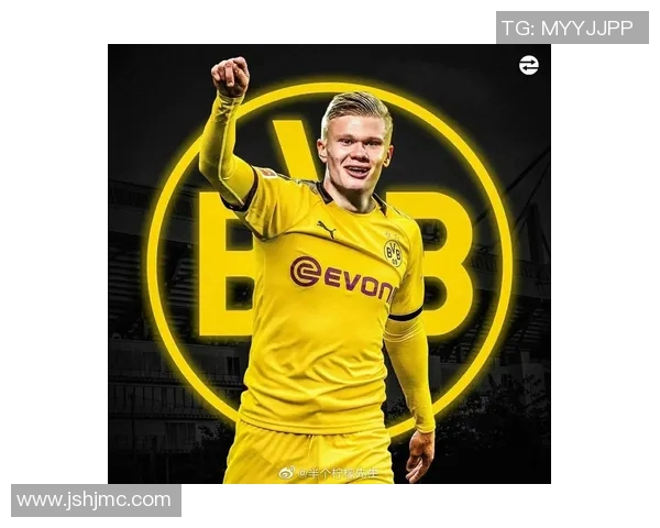 足球天才哈兰德的成长历程与辉煌成就全解析