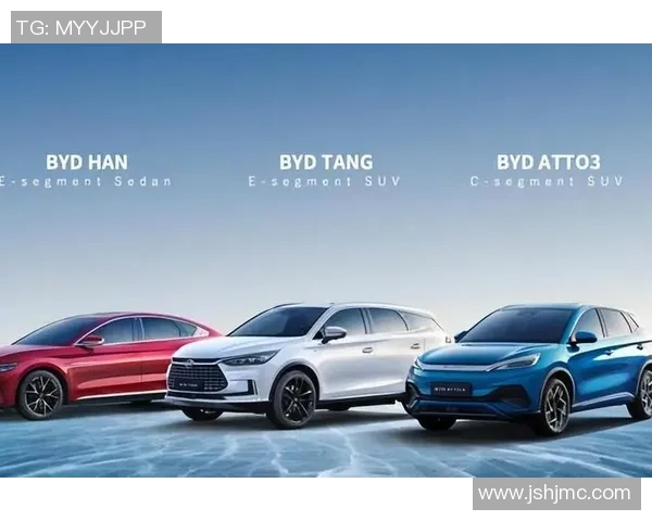 南京足球队转型之路的挑战与机遇全景解析